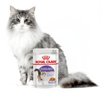 ROYAL CANIN  Sterilised 24x85g karma mokra w galaretce dla kotów dorosłych, sterylizowanych