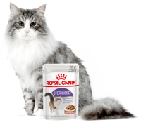 ROYAL CANIN  Sterilised 24x85g karma mokra w sosie dla kotów dorosłych, sterylizowanych