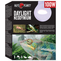 RP Żarówka  Daylight Neodymium 100W