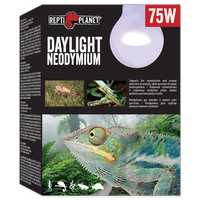 RP Żarówka  Daylight Neodymium 75W