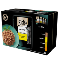 SHEBA Delicacy Drobiowe Smaki saszetki 12x85 g – mokra karma pełnoporcjowa dla dorosłych kotów, w galaretce (kawałki z: kaczką, kurczakiem, drobiem, indykiem)