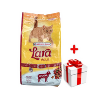 VERSELE-LAGA Lara Adult Lamb 2 kg + niespodzianka dla kota GRATIS!