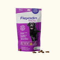 VETOQUINOL Flexadin Adult Dog 60kąsków
