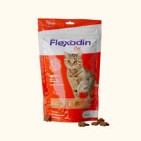 VETOQUINOL Flexadin Cat 60kąsków